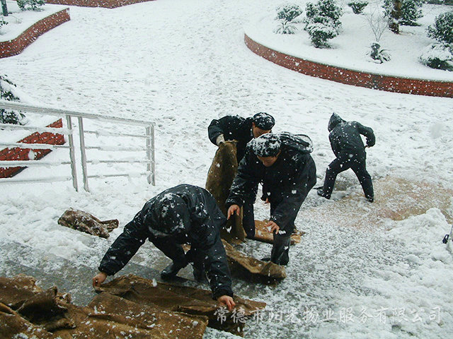 保障業(yè)主出行“冰災除雪”